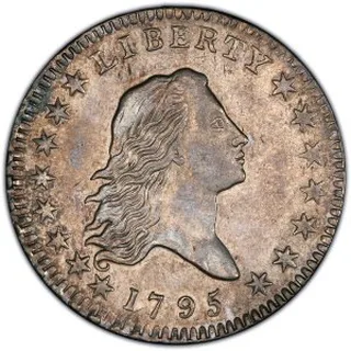 Half Dollars β coin plate from the guide