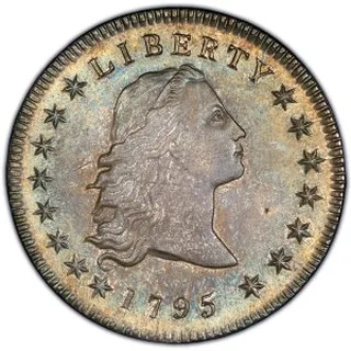 Dollars β coin plate from the guide